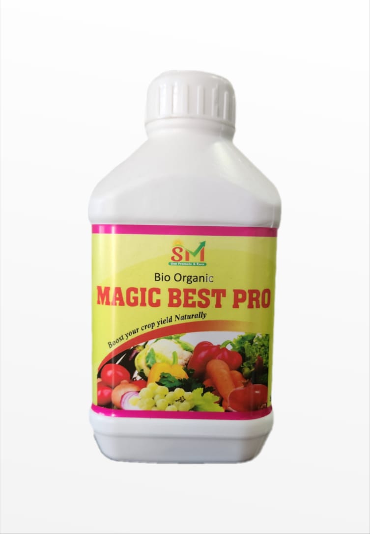 Magic Best Pro